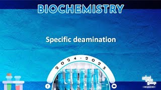 L28 Protein metabolism Transamination transdeamination and methods of deamination Biochemistry [upl. by Greeley]