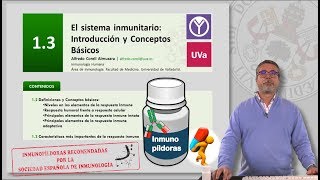 13 EL SISTEMA INMUNITARIO INTRODUCCIÓN Y CONCEPTOS BÁSICOS [upl. by Jamal]