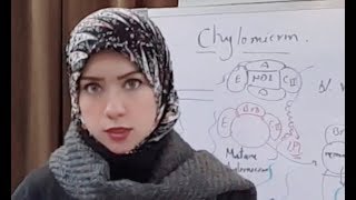 LIPID METABOLISM Biochemistry Session 13Lipoprotein Metabolism part1 [upl. by Eseuqcaj234]