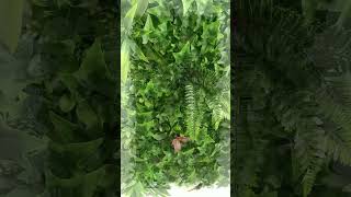 Vertical Garden Wall  DIY Faux Living Plant Wall  Indoor amp Outdoor Foliage Decoration [upl. by Eyeleen]