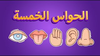 الحواس الخمسة للأطفال  قناة أبجد [upl. by Castorina]