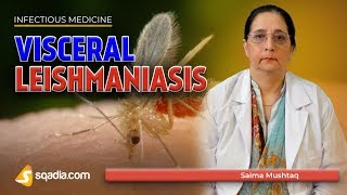 Visceral Leishmaniasis  Leishmania Donovani Disease  Medicine Lectures  VLearning [upl. by Rasla]