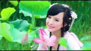 Traditional Chinese Music 14 [upl. by Eibur]