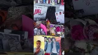 Night changes onedirection music liampaynedeath youtubeshorts [upl. by Mosley243]