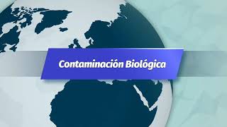 Reportaje quotContaminación Biológicaquot [upl. by Raskin]