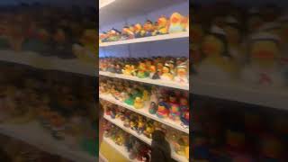 Just rubber duck store [upl. by Rame]