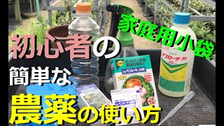 【家庭用農薬の使い方】農薬を使う前に注意すること、実際の作り方、使い方【万年青の豊明園】【How to make a Germicide for OMOTO】 [upl. by Assirrak]