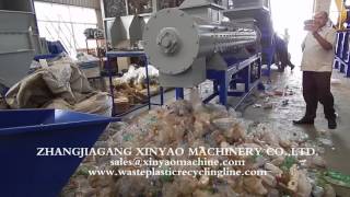 PET label remover machine PET recycling machine [upl. by Adnoloy142]