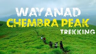 CHEMBRA PEAK  CHEMBRA PEAK WYANAD  CHEMBRA PEAK TREKKING  WAYANAD TOURIST PLACES [upl. by Ecirtram]