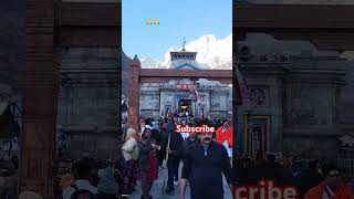 Shiv Punya H kedarnath uttarakhand nature travel explore mountains shivtemple trending love [upl. by Liag257]