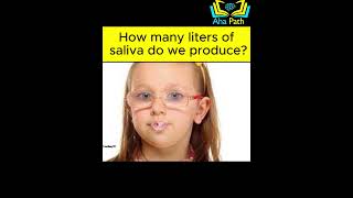 How many liters of saliva do we produce  AhaPath [upl. by Ahsienauq]