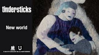 tindersticks  New World Official Audio [upl. by Ymij]