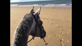 Holkham Beach Riding [upl. by Asenaj]