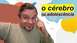 O cérebro na adolescência [upl. by Ailecnarf]