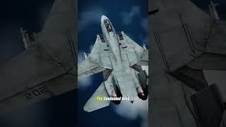 How did American F14 destroy the Libyan SU22 shorts usairforce [upl. by Magree]