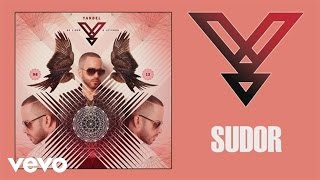 Yandel  Sudor Audio [upl. by Ecydnak225]