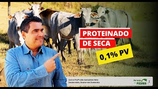 Como fazer proteinado de seca 01 PV [upl. by Hsivat787]