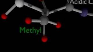 Science Animation amino acids [upl. by Tri886]