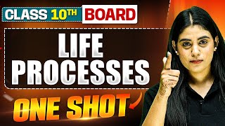 WARRIOR 2025 LIFE PROCESSES in 1 Shot FULL CHAPTER Theory  PYQs  Class 10th Boards [upl. by Newel]