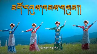 Dowukham sum Tibetan Song 2023 མདོ་དབུས་ཁམས་གསུམ། [upl. by Leahcimluap]