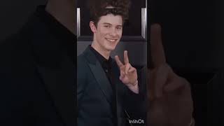 Taylor Swift and Shawn Mendes lover song short lyrics video [upl. by Ulrich]