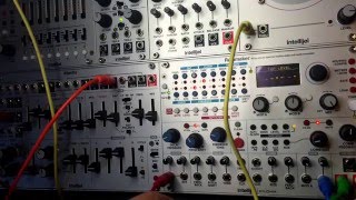 Intellijel Cylonix Rainmaker in full random mode [upl. by Gensmer787]