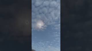 solar eclipse april 8 2024 live [upl. by Carree930]