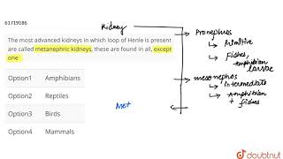 The most advanced kidneys in which loop of Henle is present are called metanephric [upl. by Venterea670]