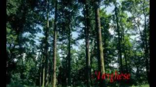 Yeshu en manaalan varum Malayalam Christian Song ¦ Muttom GeeVarghese [upl. by Hsina]