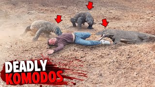 These 3 Komodo Dragons Fatally Mauled People In Deadly Attack [upl. by Coates]