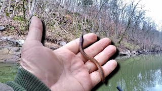 THIS Is How You Catch BIG Fish With Just A Simple Worm [upl. by Grenville]