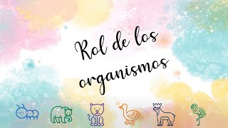 Organismos [upl. by Hsirehc]