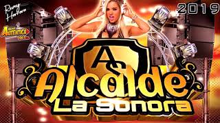 Esa Pareja 2019 Grupo Alcalde La Sonora 🎧 [upl. by Nidnerb]