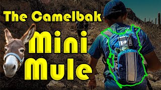 Camelbak Mini Mule  Best Kids Backpack [upl. by Anirtik793]