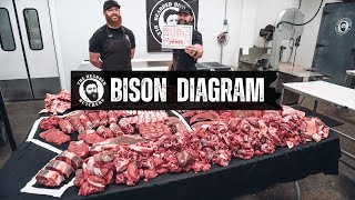 A Visual Guide to the Cuts of Bison Where Every Cut of Buffalo Comes From  By The Bearded Butchers [upl. by Magdau74]