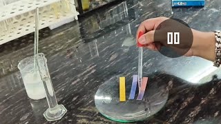 Calcium Oxide reacts with water  Calcium Hydroxide Lime Water  CBSE science experiment [upl. by Amadeo]