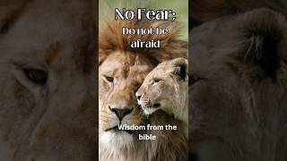 No Fear Do Not Be Afraid [upl. by Carmella]