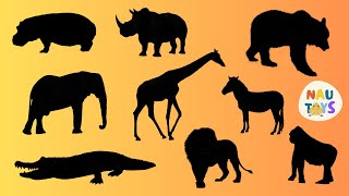 Wild Animals Puzzle  Learn Wild Animal Names and Animal Videos for Kids [upl. by Chaudoin679]