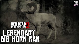 RDR2  Legendary Big Horn Ram [upl. by Lexy225]