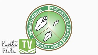 Wie is Antrovet  Behandeling van lewerslak Farm TV  22 April 2022 [upl. by Ardeid846]