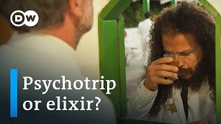 Ayahuasca boom in Brazil  Remedy or risk  DW Documentary [upl. by Mossberg500]