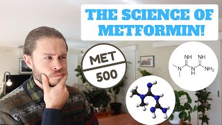 How Does Metformin Work [upl. by Lolita60]