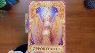 Take action Luck Opportunities and Abundance Are on Your Side tarot [upl. by Malka]