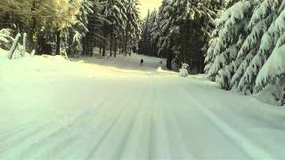 Skilanglauf Abfahrt in Oberhof [upl. by Pillow]