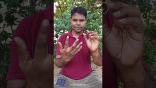 Great 🪙 magic kesa laga batana bro 😱💯 tutorial trending viralvideo magic youtubeshorts [upl. by Haukom]