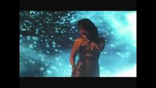 Haifa Wehbe  wawa  w akher hammi  NewYearConcert 2012wmv [upl. by Spragens557]