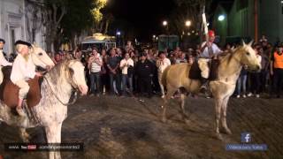 Desfile de Caballos Jinetes Carruajes Tropillas [upl. by Av]