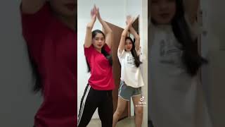 Everyday Tiktok Dance [upl. by Akimed]