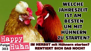 Hühner anschaffen  Rentiert sich das im Herbst Der beste Zeitpunkt zum anfangen HAPPY HUHN E303 [upl. by Olodort]