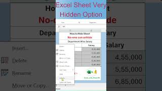 Excel Sheet Very Hidden Option Hide Excel Sheets Securely  ExcelandPowerBI  shorts [upl. by Ashbey]